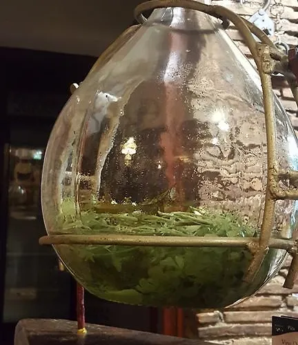 Martina Guest House-rooms Affittacamere Porec