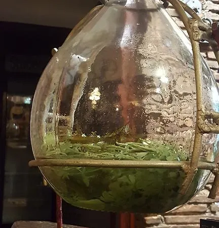 Martina Guest House-rooms Guest house Porec